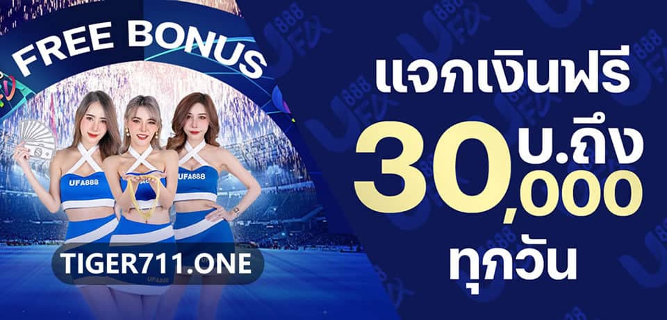 Tiger711 บาคาร่าออนไลน์ สล็อตออนไลน์ เปิดให้บริการตลอด 24 ชั่วโมง