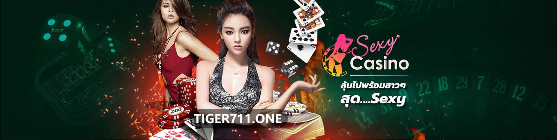 tiger711 ทางเข้า 2