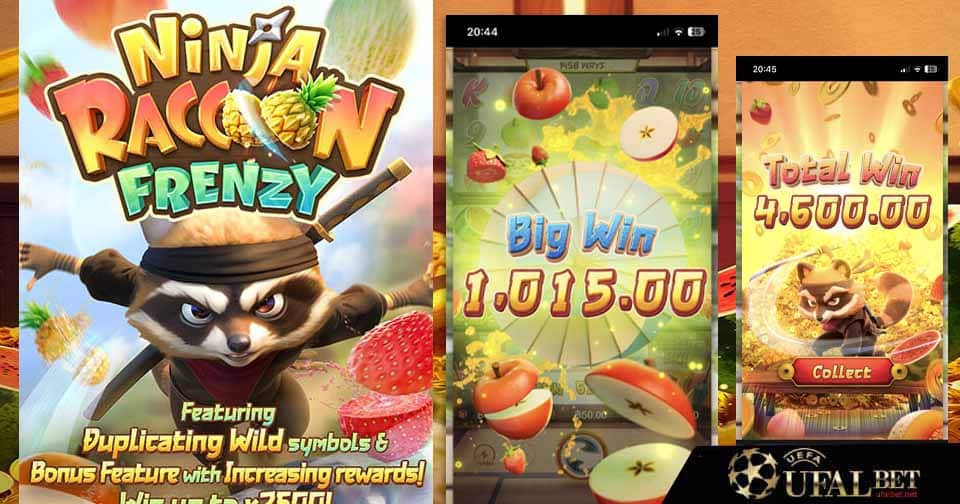 สล็อตนินจาแรคคูน 