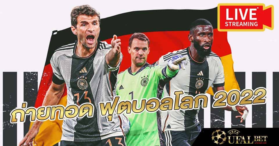 ถ่ายทอด ฟุตบอลโลก 